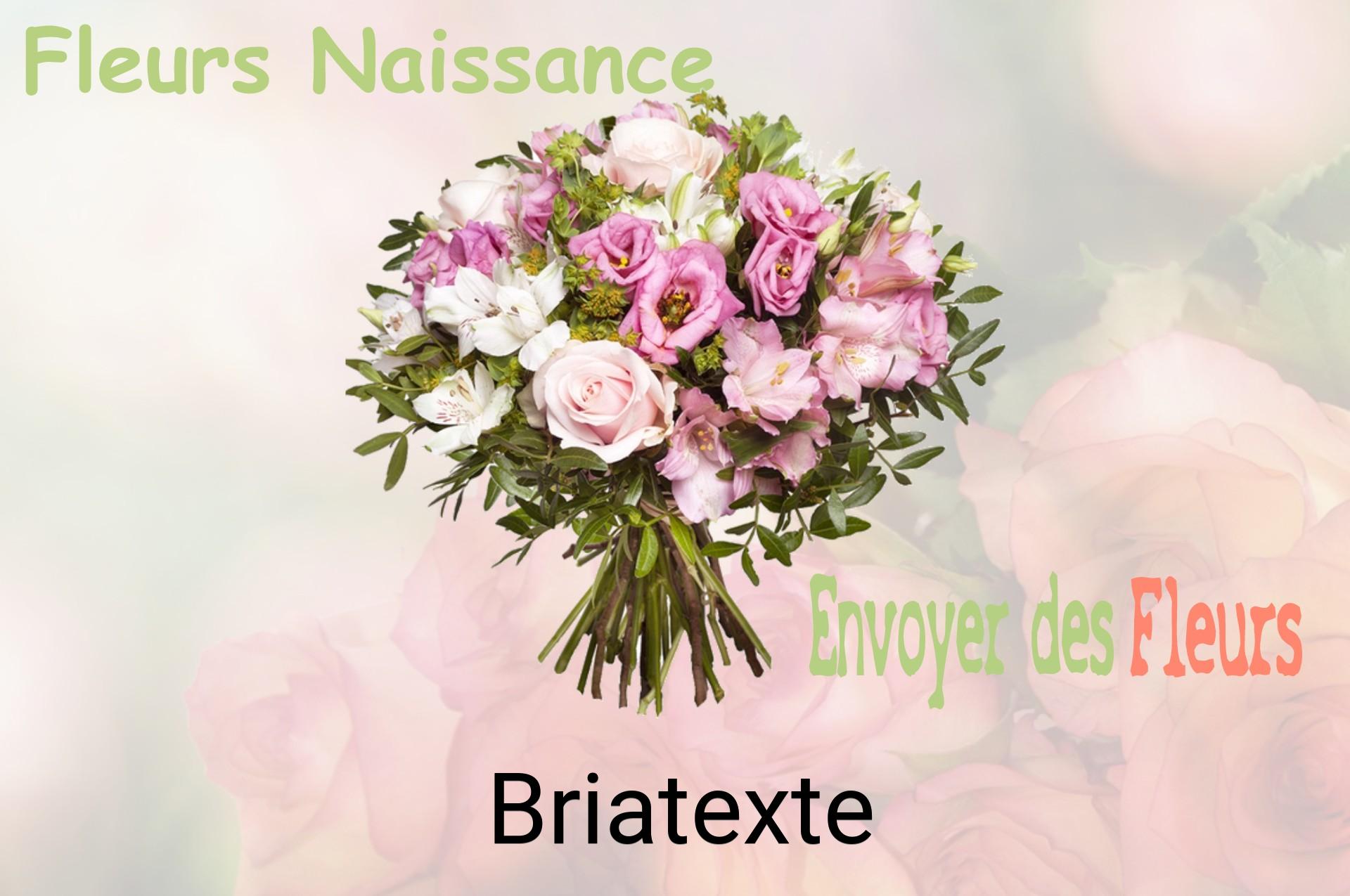 Bouquet de fleurs de naissance livré à Briatexte