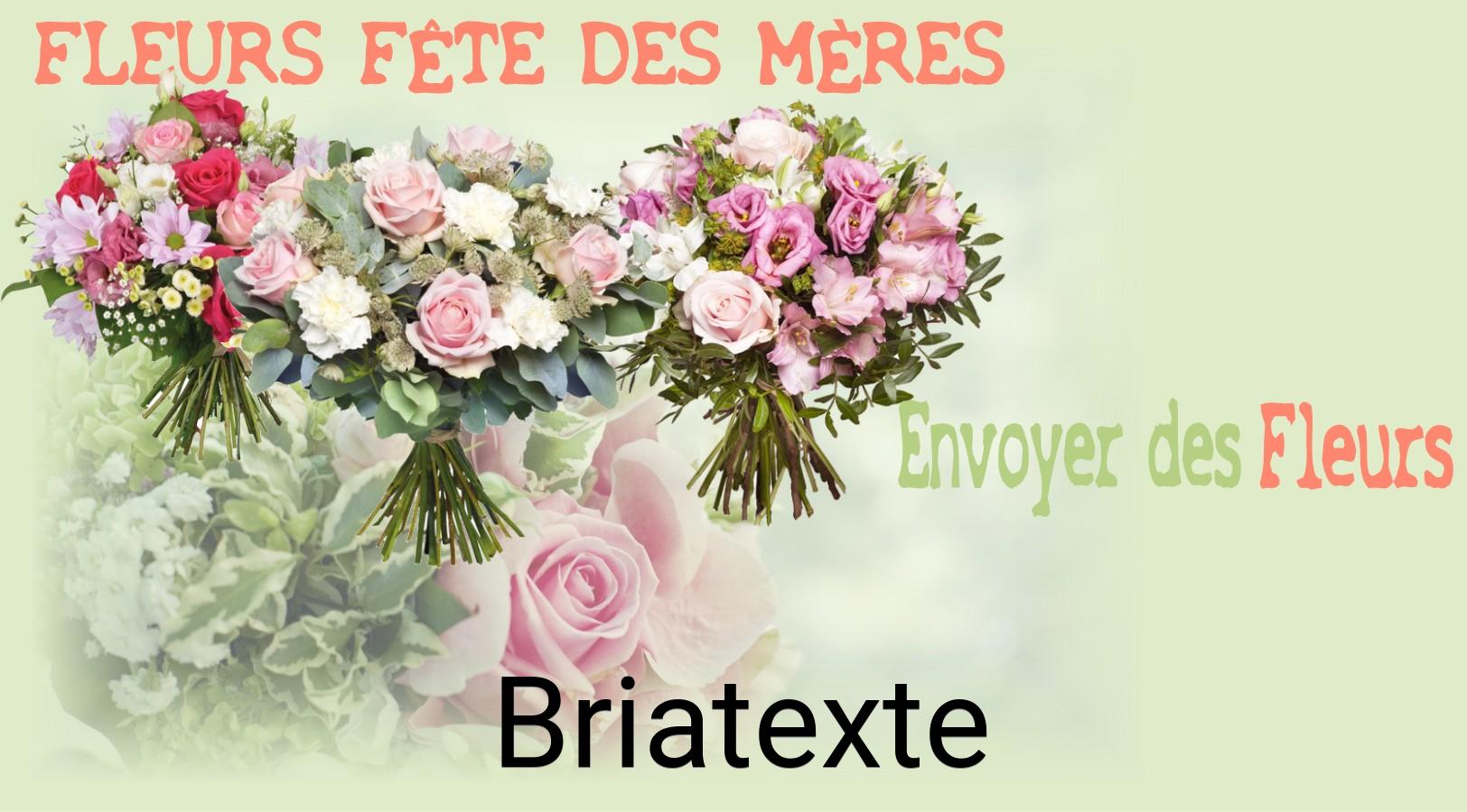 Bouquet de Fête des Mères livré à Briatexte